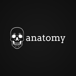 Anatomy – skull logo vector free logo preview